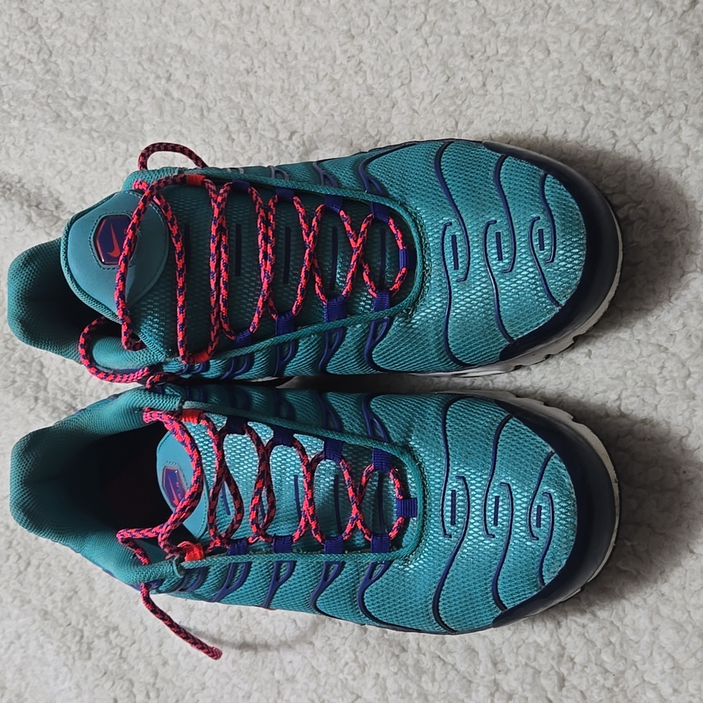 GUC Mens Nike Air Max Plus. Size 13.
